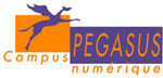 Pegasus